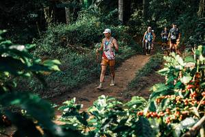 BIB: 
                            <button type="button" onclick="openModal(25844506)" class="btn btn-primary btn-sm float-right btn-popup" data-toggle="modal" data-target=".modal-high-quality">
                        <i class="fas fa-shopping-cart"></i> Add to Cart
                    </button>
                                            <button type="button" onclick="isThisMe(25844506, true)" class="btn btn-success btn-sm float-right btn-popup btn-isme hidden" data-toggle="tooltip" data-placement="bottom" title="นี่คือรูปของคุณใช่ไหม คลิกที่นี่เพื่อเอาเข้าอัลบั้ม">
                        <i class="fas fa-plus"></i> Add to album
                    </button>
                    <button type="button" onclick="isThisMe(25844506, false)" class="btn btn-warning btn-sm float-right btn-popup btn-isnotme hidden">
                        <i class="fas fa-ban"></i> Remove from album
                    </button>